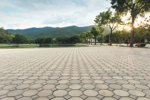 Best Driveway Resurfacing Pavers  in Neodesha, KS